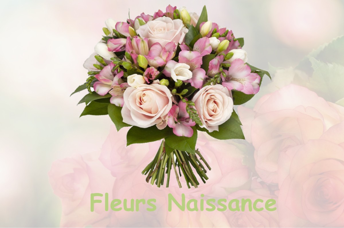 fleurs naissance LE-CHAMP-PRES-FROGES