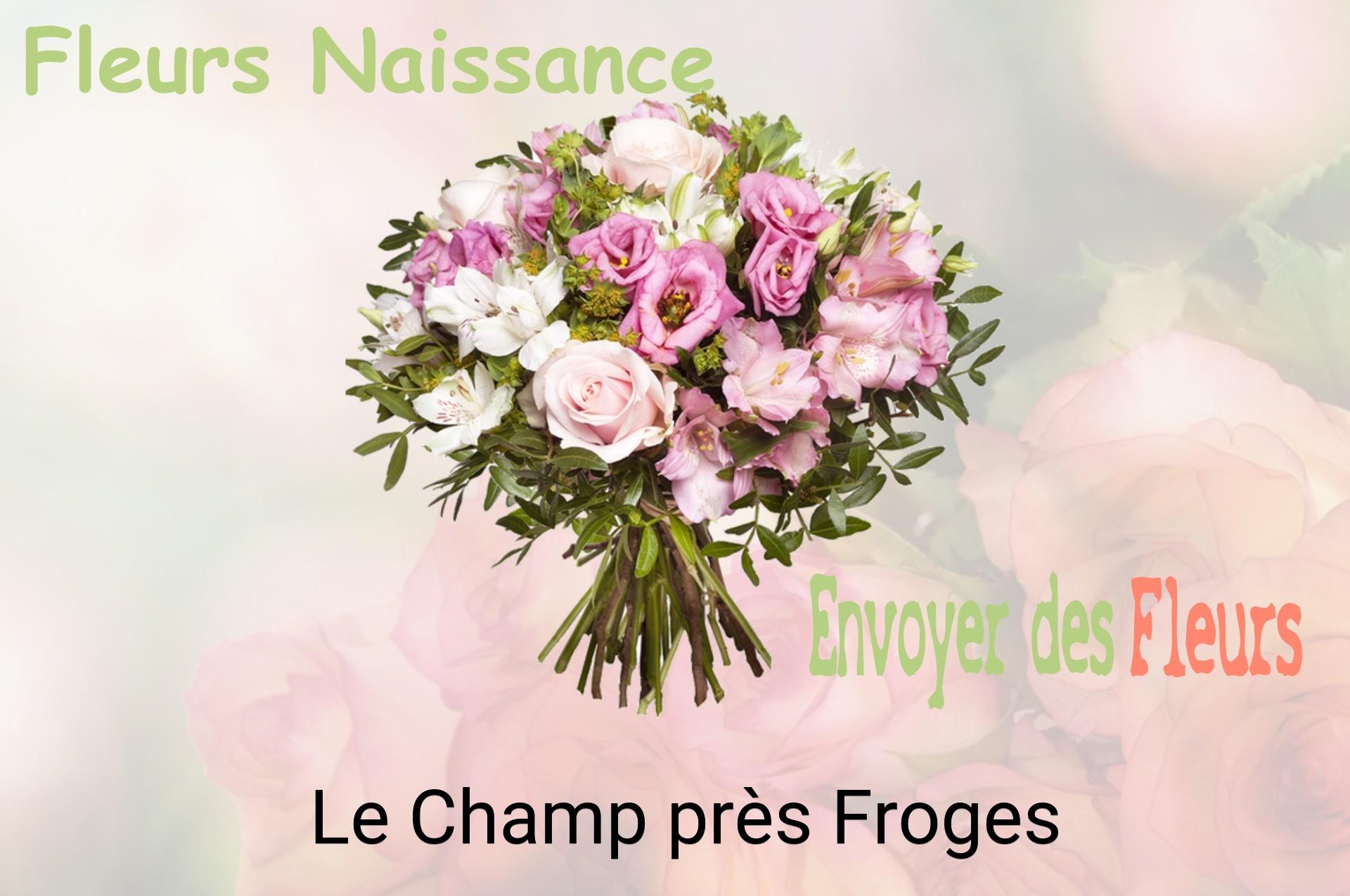Bouquet de fleurs de naissance livré à Le Champ-près-Froges