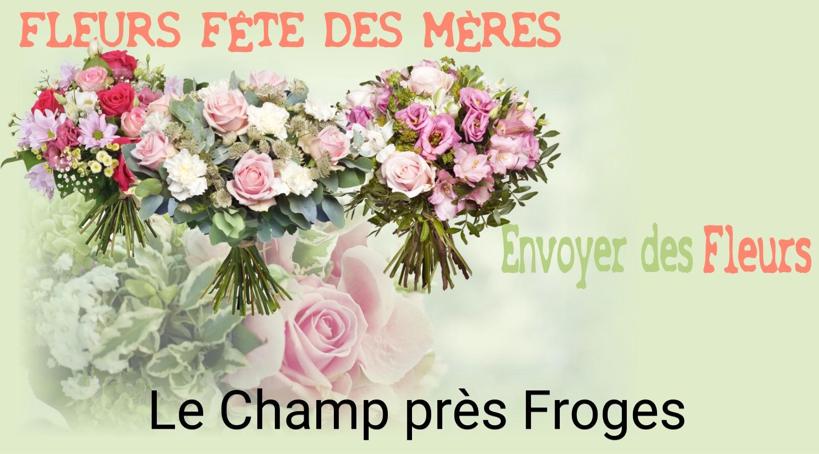 Bouquet de Fête des Mères livré à Le Champ-près-Froges