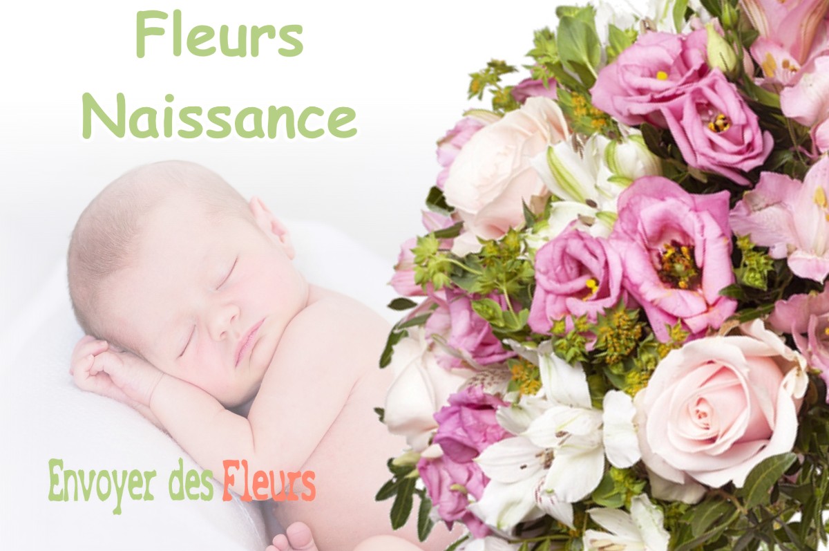 lIVRAISON FLEURS NAISSANCE à LE-CHAMP-PRES-FROGES